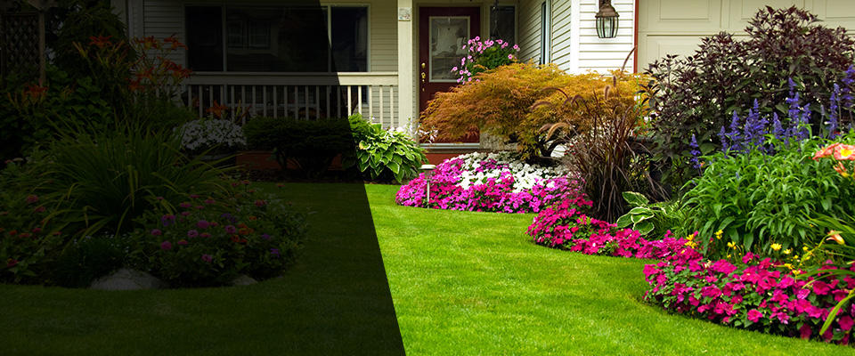 Bohemia Landscapers